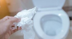 How to dissolve toilet paper clog? 1 best