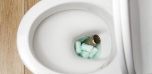 How to dissolve toilet paper clog