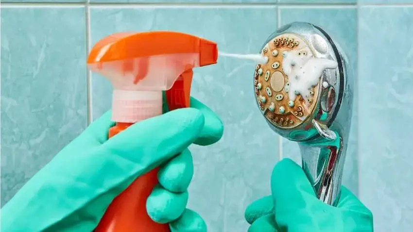 How to clean a shower head without vinegar: 4 Alternate methods