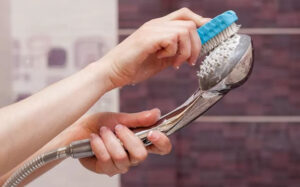 How to clean a shower head without vinegar: 4 Alternate methods