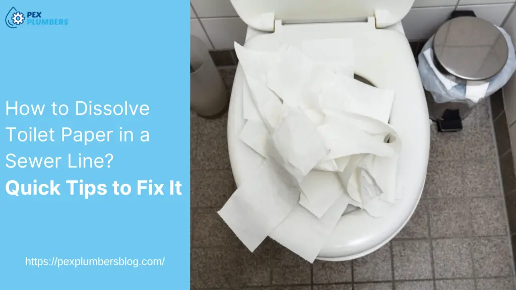 How to Dissolve Toilet Paper in a Sewer Line? Quick Tips to Fix It