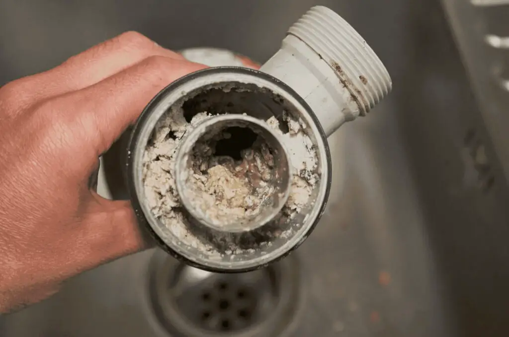 Why kitchen sink clogged past trap?