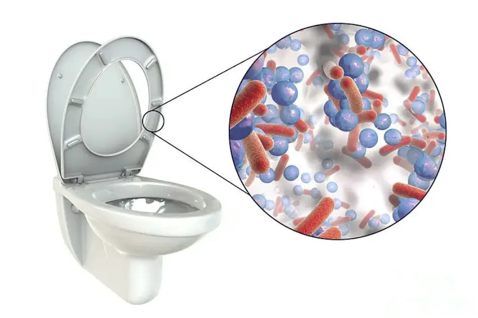 Why is my toilet seat turning blue: 6 main reasons