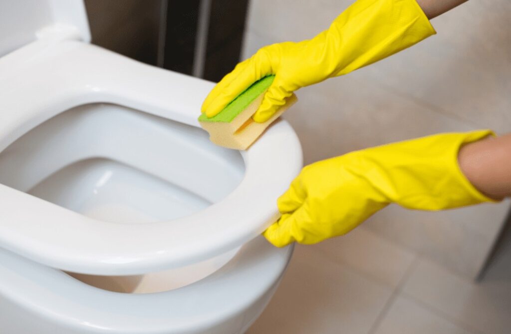 Why is my toilet seat turning blue: 6 main reasons