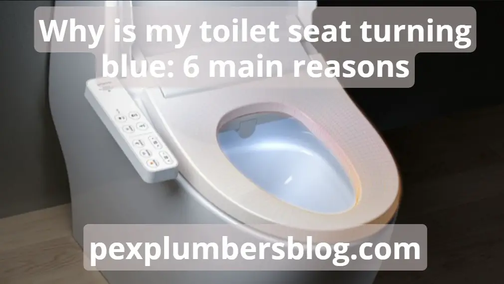 Why is my toilet seat turning blue: article on subj & FAQs