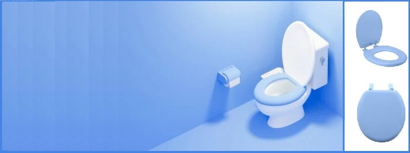 Why is my toilet seat turning blue: 6 main reasons